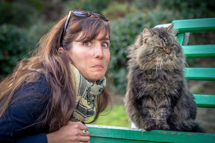 そっぽむく猫と女性