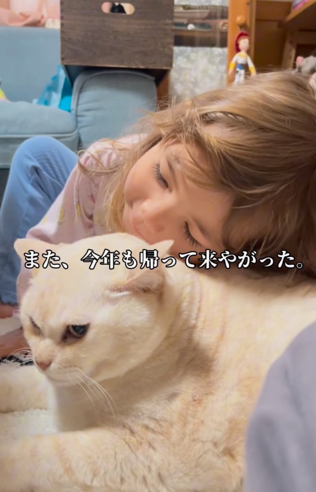猫に顔を擦り寄せる女の子