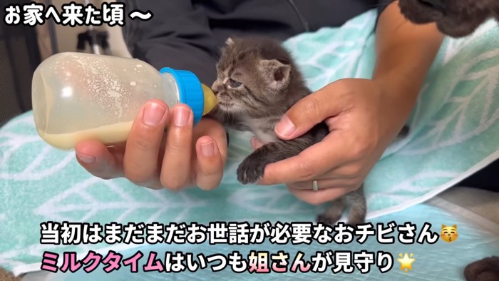 テロップ「当時はまだまだ~」
