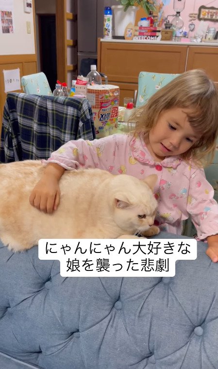 猫が大好きな女の子