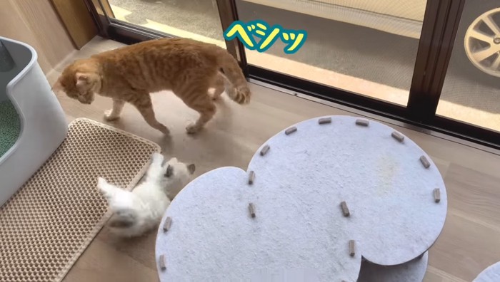 ベシッ