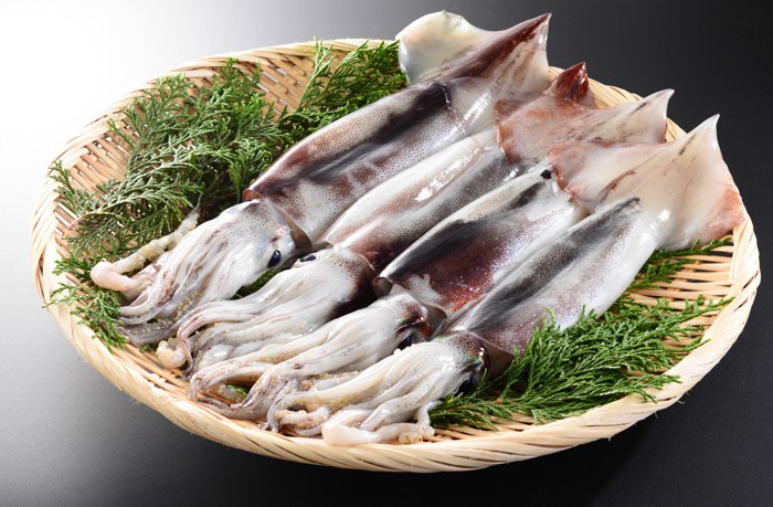 ざるに並べられた生のスルメイカ