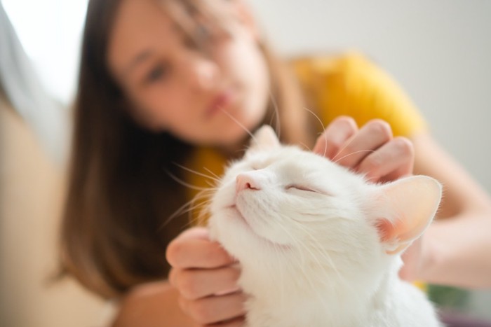 猫とのスキンシップ