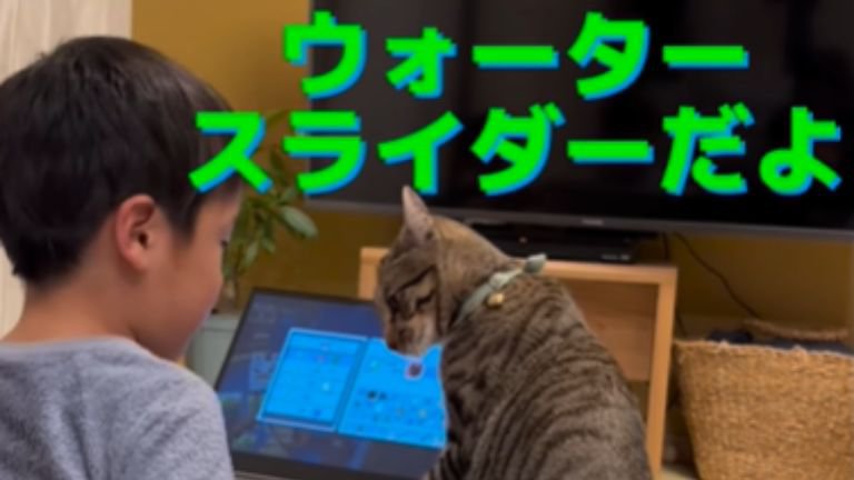 にらみ合う子どもと猫