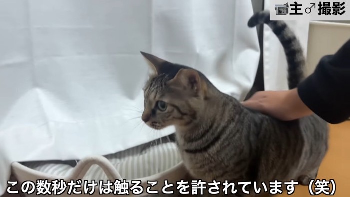 この数秒だけは