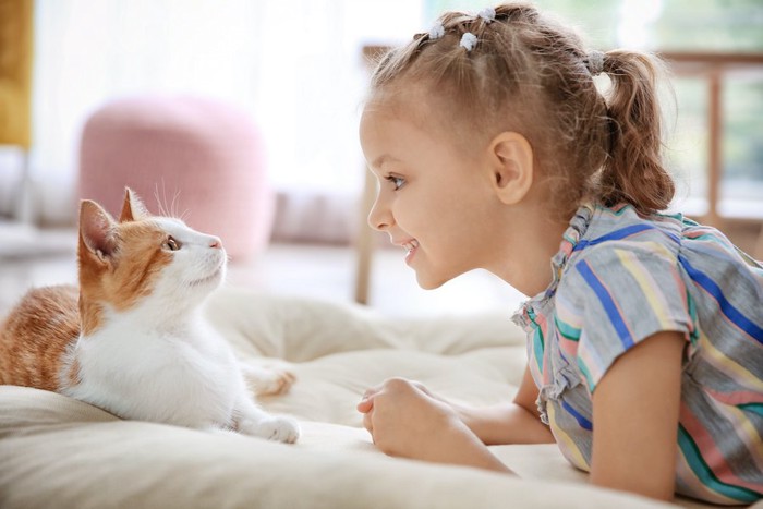 見つめ合う猫と女の子