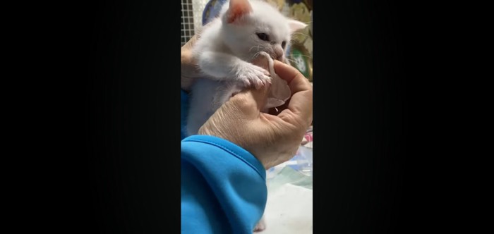 お口フキフキ
