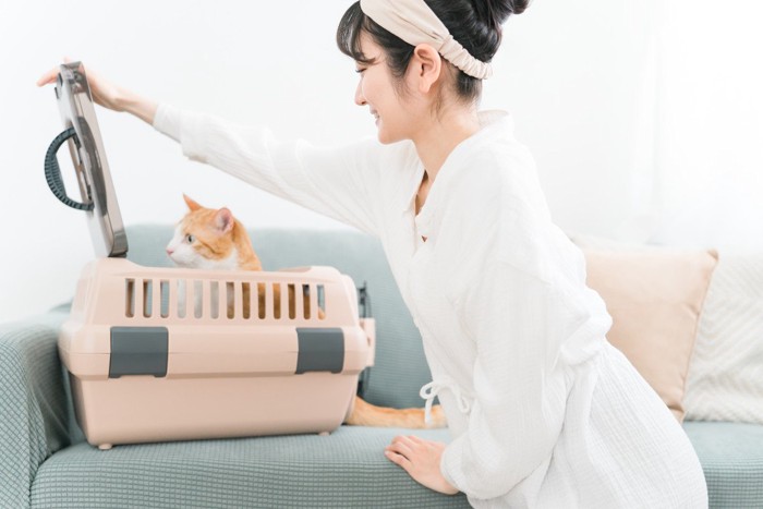 キャリーに入る猫