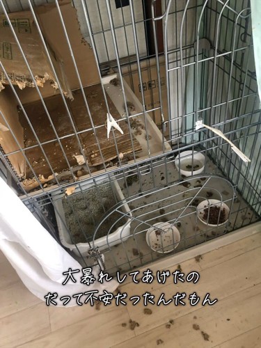 ボロボロのケージ
