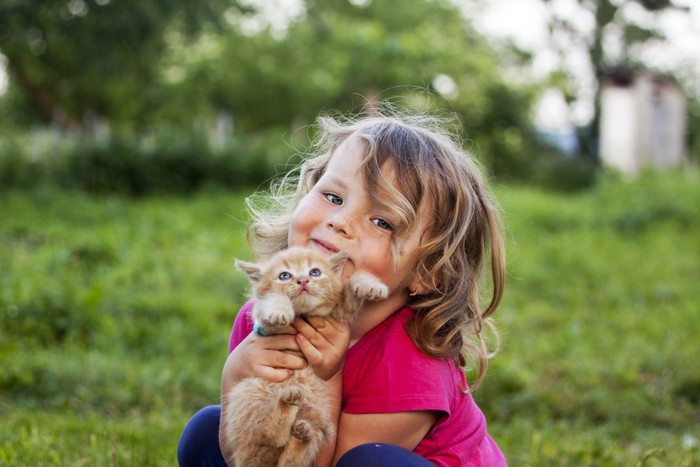 子猫を抱き上げている子供