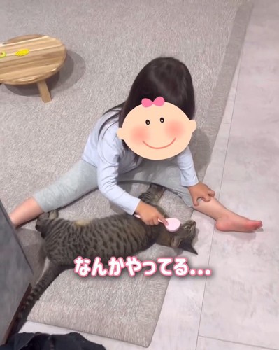 子供と横になる猫