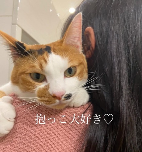 抱っこされる猫