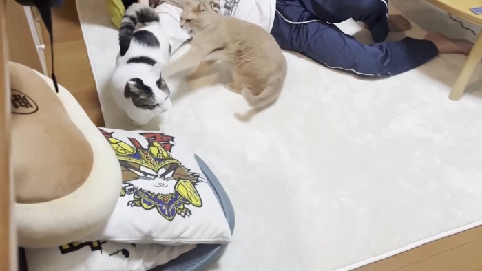パンチ