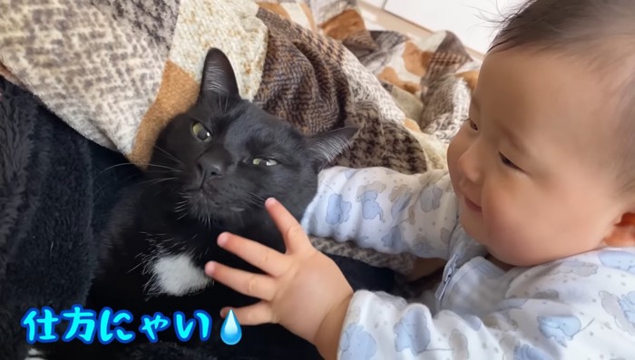 仕方にゃい