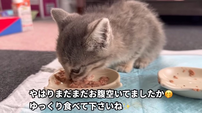 テロップ「やはりまだまだ~」