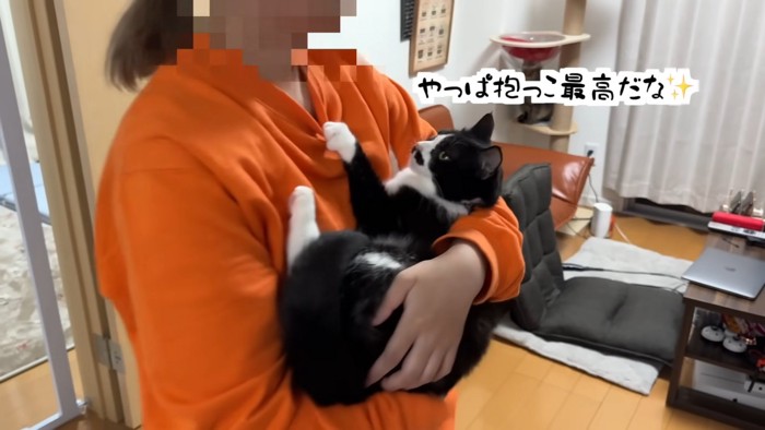 抱っこされて服を前足で掴む猫