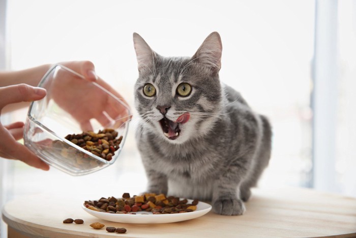食事中に舌をペロリと出す猫