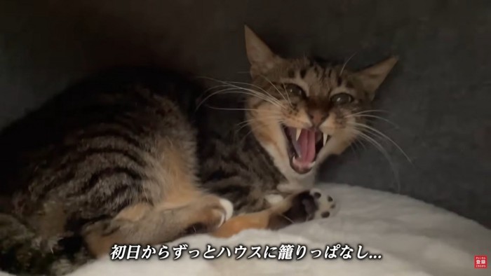 テロップ「初日からずっと～」