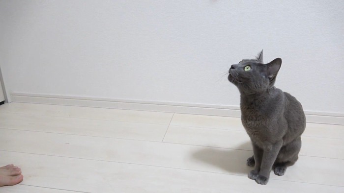 座りながら見上げる姿