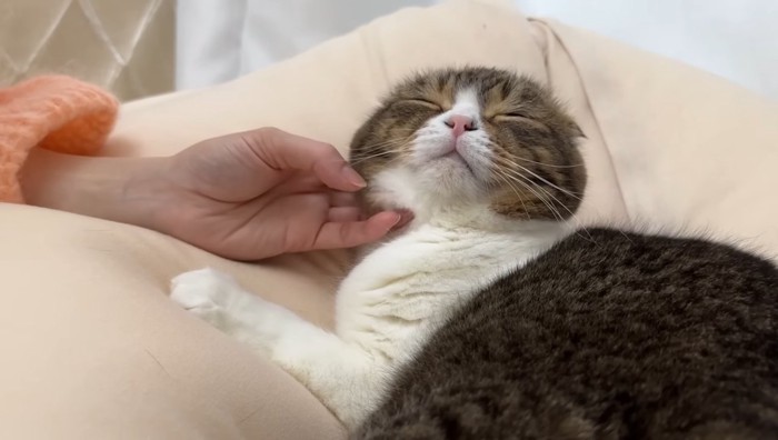 なでなで