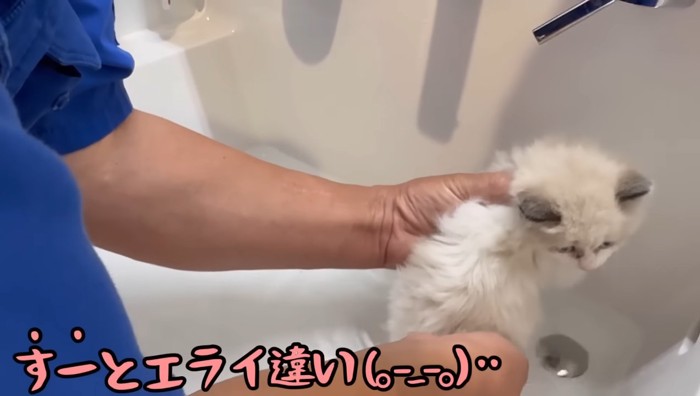 洗い流し中