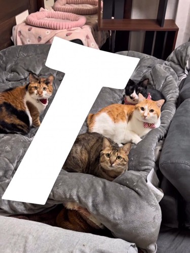 ベッドに「T」の文字