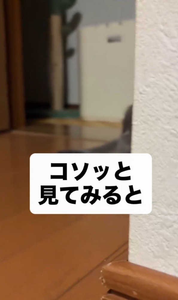 「コソっと～」と書かれた写真