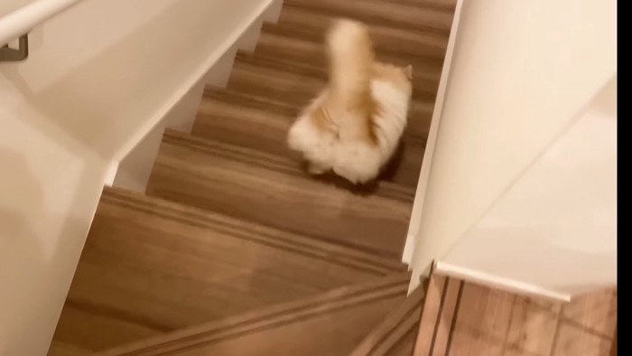 後ろ姿