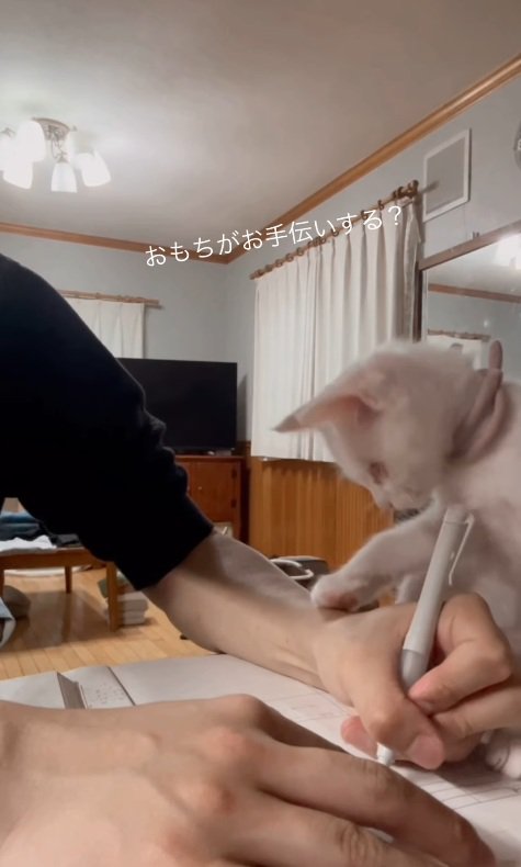 手伝いたい