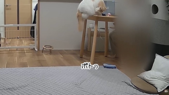 小物を落とすレモンくん