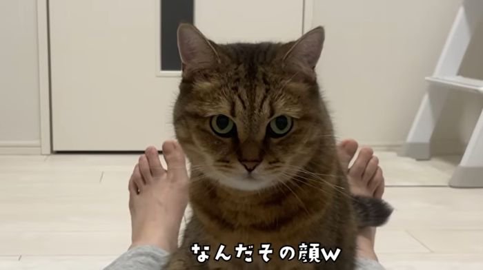 飼い主さんの上にのるみにら君