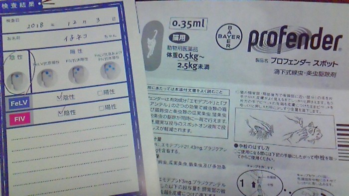 血液検査の結果