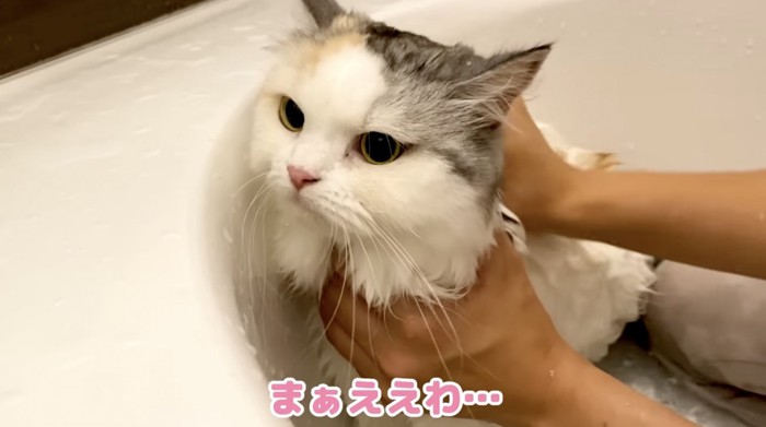 お風呂に入ったつくしちゃん