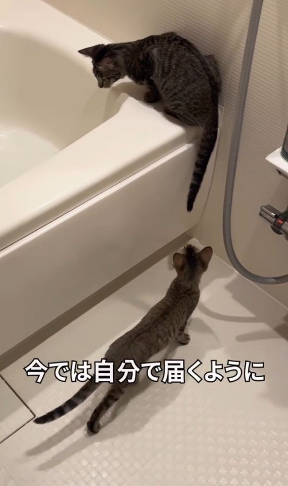「今では自分で…」と書かれた写真
