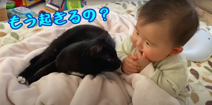 子守をするくまごろうくん