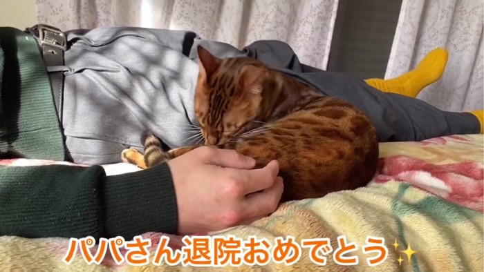 パパさんと添い寝する猫