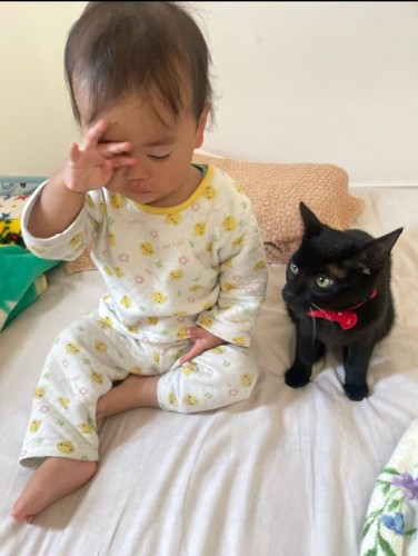 赤ちゃんと猫