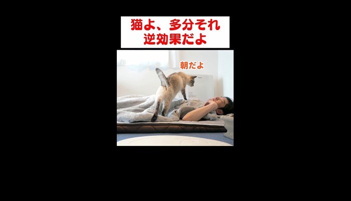 朝だよ
