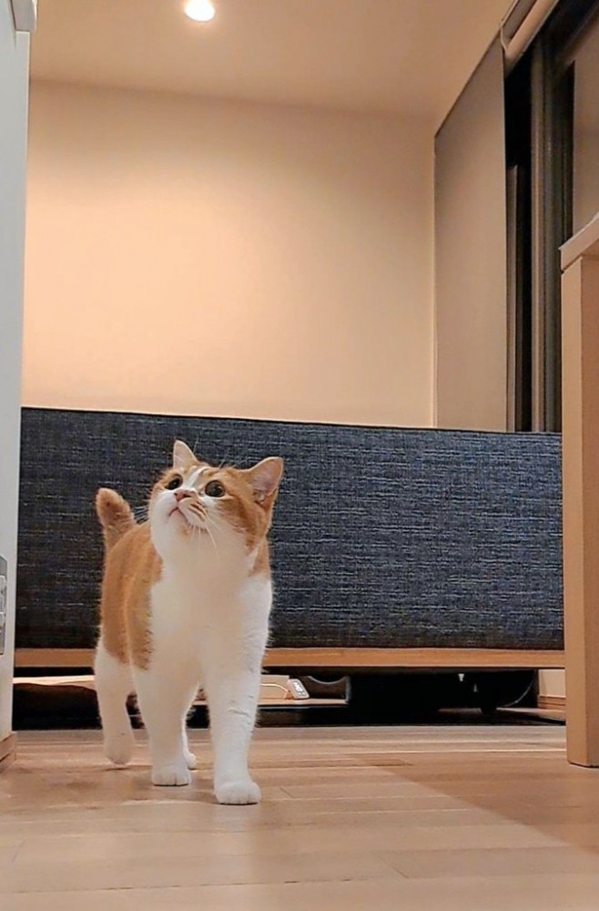 出待ちするもなかくん