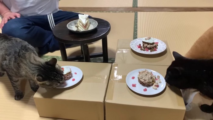 犬が黒猫の下に落ちている物を食べる