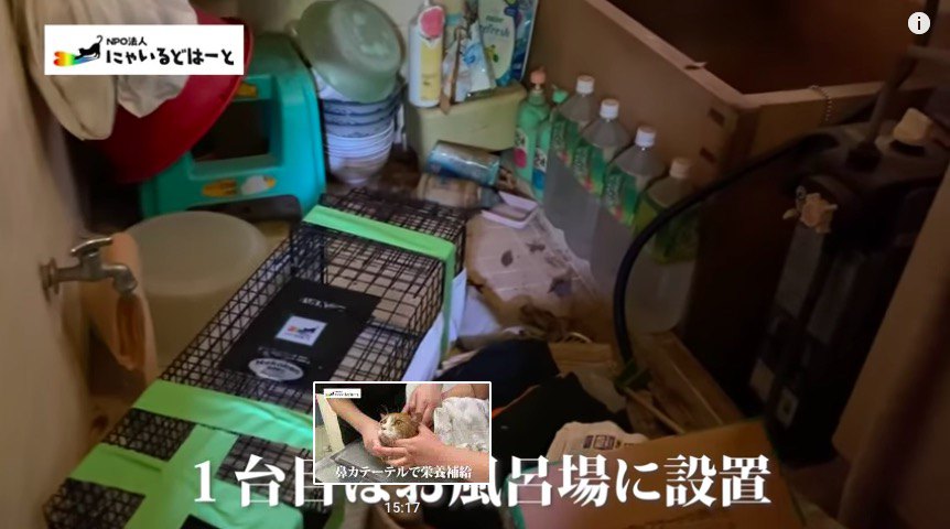 お風呂場の捕獲器