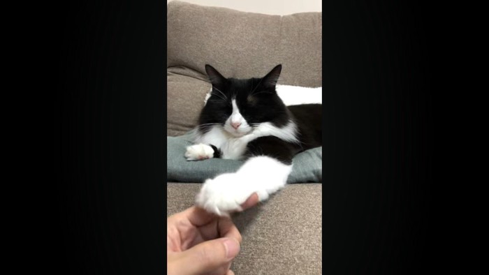 目を閉じた表情
