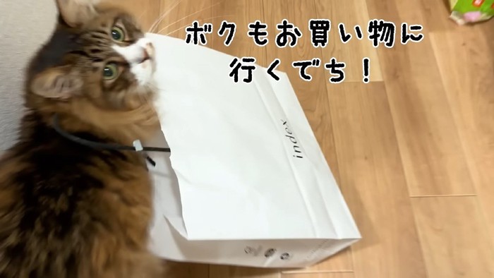 ボクもお買い物に行くでち!