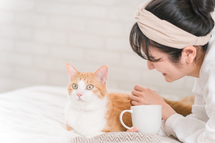 猫に話しかける女性