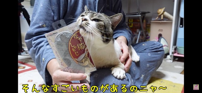 なで猫しゃもじ