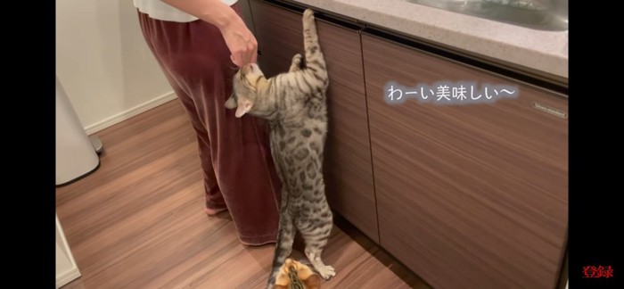 食べる