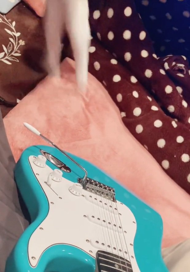 逃げるらるちゃん