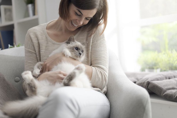 白い猫と女性