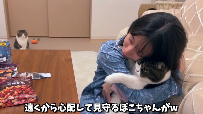 抱っこされる猫と遠くに座る猫