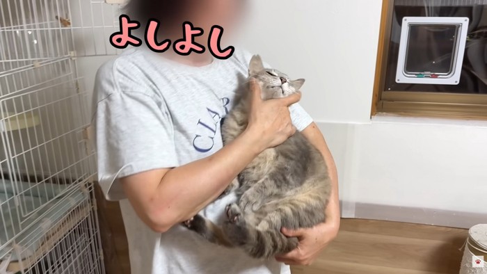 テロップ「よしよし」